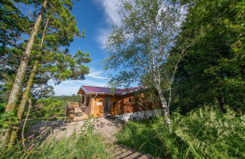 Le chalet de l'amicale - Foto 24