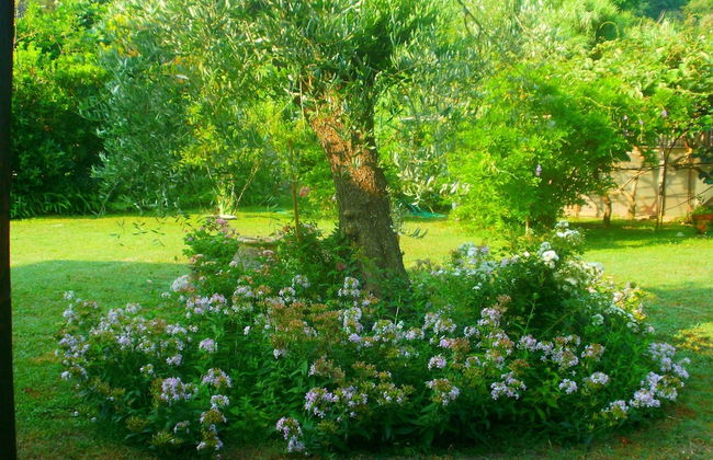 Belvilla by OYO Arte e Orto - Foto 12