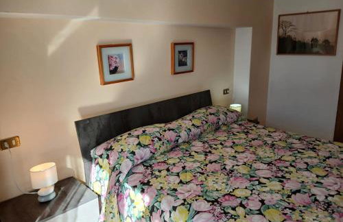 Bellavista garden and flowers - Foto 32