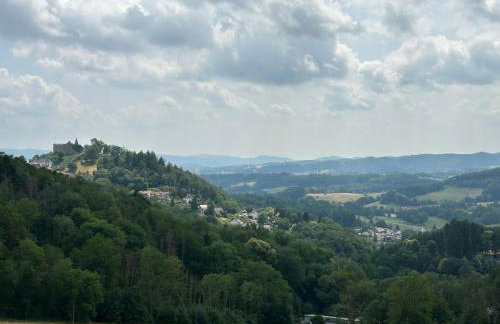 Nibelungen 4 Zimmer Apartment - Foto 55