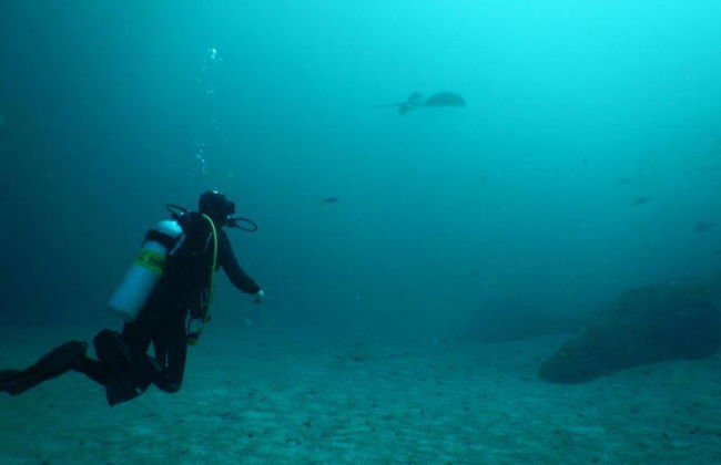 Sifawy Boutique Hotel - Foto 57