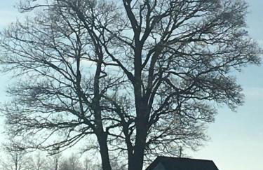 Ferienwohnung "Im Berggarten" - Foto 23