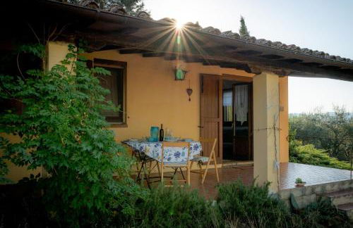 Agriturismo La Casetta del Sole - Photo 63