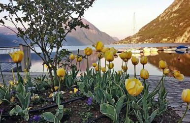 Il Giardino di Lilly - Foto 28