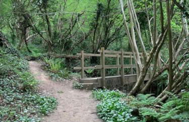 Shangri la at Beauport - Foto 29