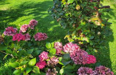 Gulfhof Anelis - Foto 31