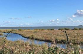 Oyster Lodge - Foto 15