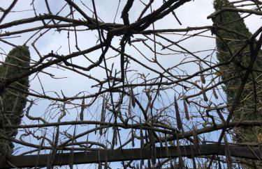 Agriturismo San Giusto - Foto 43