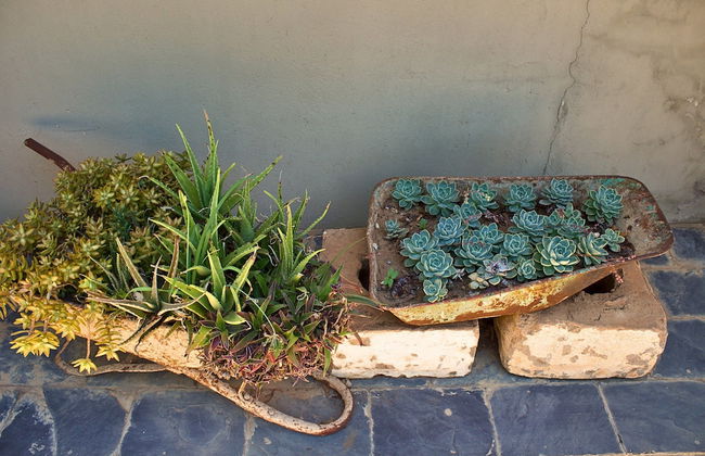 Solar Powered 3 bed Haven in Bannatyne Park - Foto 14