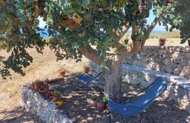 Casa Palombara - Healiday in Torre Salsa - Foto 63