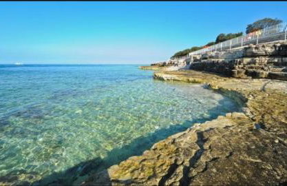 Apartman Perci Vrh - Foto 35