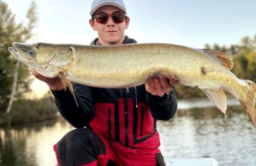 Cedaroma 5 Big Deck Amazing Views - Photo 29