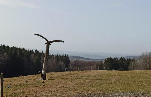 Ferienhaus Ziegelhof - Photo 21