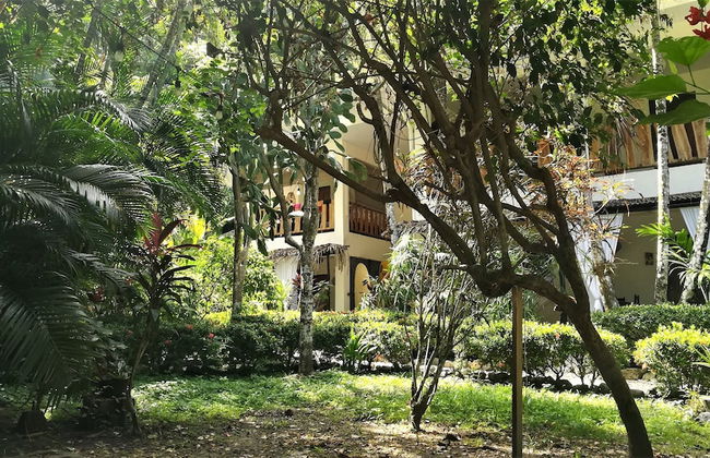 Colibri Surf House & Flats - Foto 1