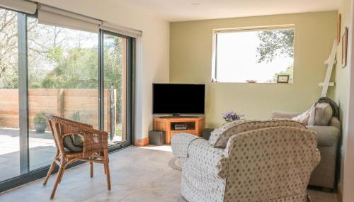 Black Cat Bach - Foto 5