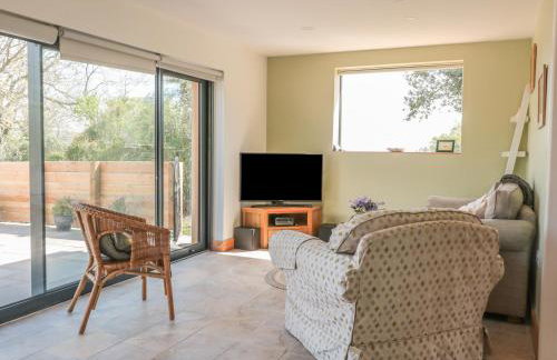 Black Cat Bach - Foto 5