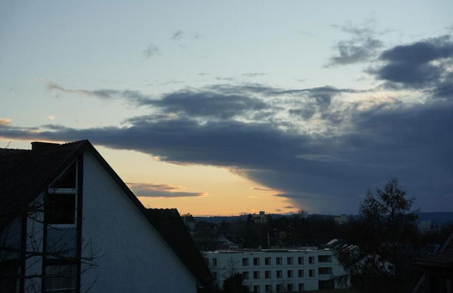 Gasthaus Adler - Photo 5