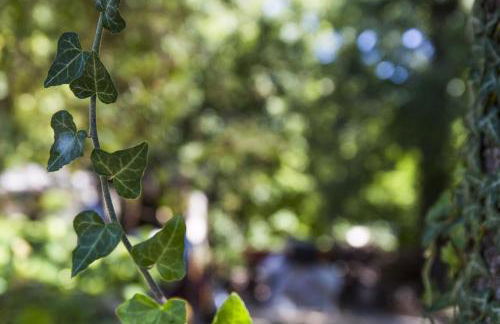 AGRITURISMO Case Catalano - Foto 12