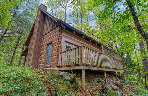 Little Bird Cabin by American Patriot Getaways - Foto 29