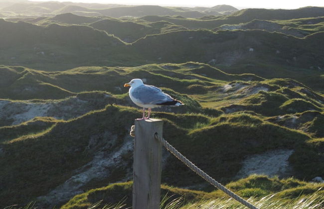 6 in het Huis Meerloft - Foto 9