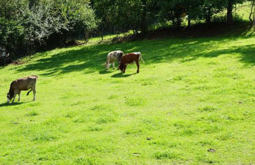 Chalet Bauer - Foto 26
