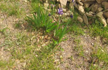 Villa Sortis and boat - Photo 78