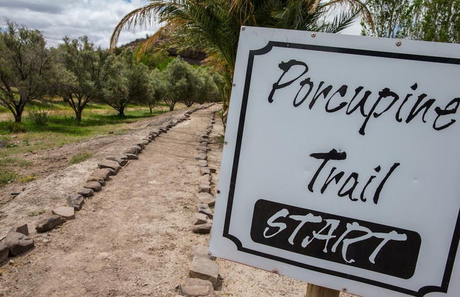 Olive Grove Guest Farm - Foto 34