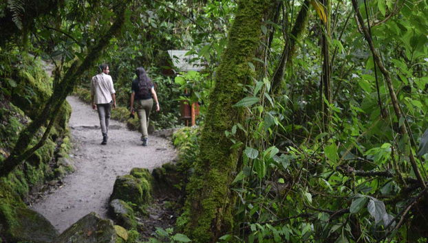 Escursione a Baños de Agua Santa