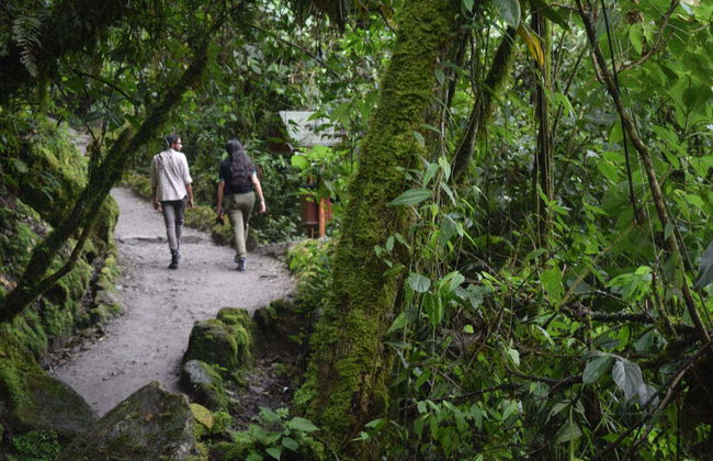 Excursion à Baños de Agua Santa - Photo 2