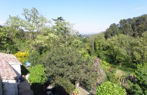 Les bananiers - Foto 2