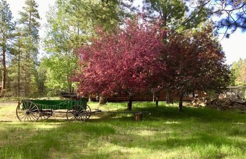 Sisters Dream Inn - Photo 18