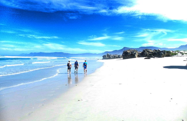 Bellamente Sirene Guesthouse - Foto 39