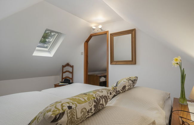 Surrounded by Nature - Casa da Cebola - Foto 6