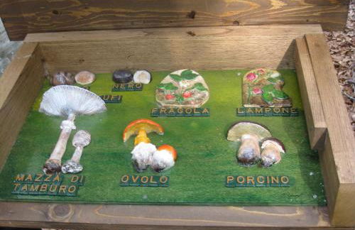 Casa nel bosco alle Macinaie - Foto 26