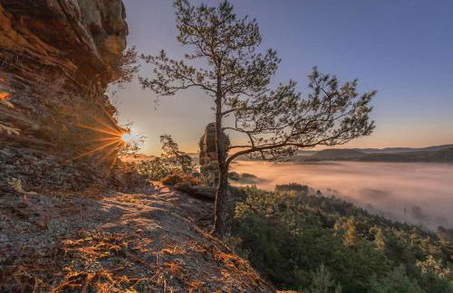 Ferienhaus 'Emma' Rodalben - Foto 12