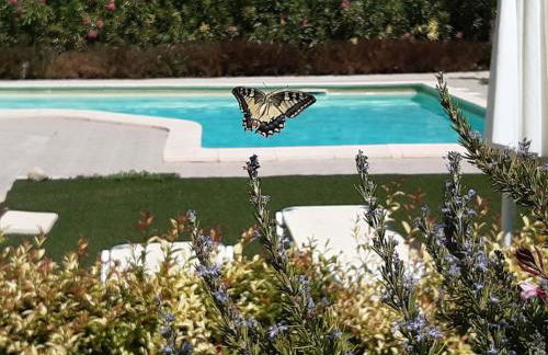 Green Orange Villa near Platanias - Photo 14