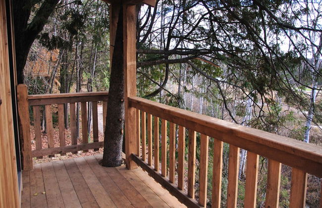 Les Chalets du Trappeur - Photo 11