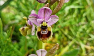 Casa Vacanze Rinaldi - Foto 5