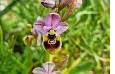 Casa Vacanze Rinaldi - Foto 5