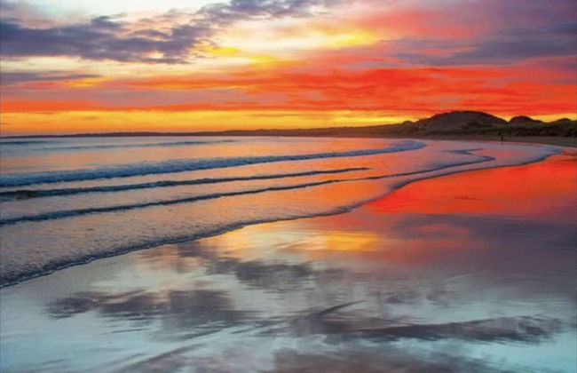 The Beachcomber - Foto 13