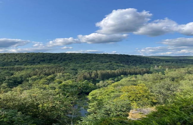 Family Villa Near Forest - Foto 22