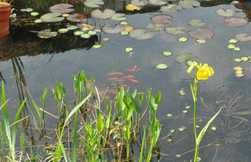 Gästezimmer - Fuhrhalterei Maul - Photo 18
