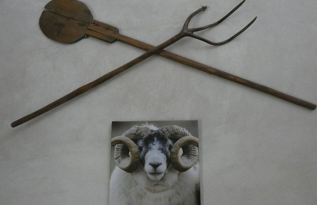 Mas Séraphin - Photo 50