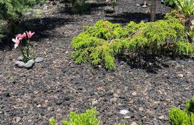 Casa Baleia Laranja Ocean-Front - Photo 52