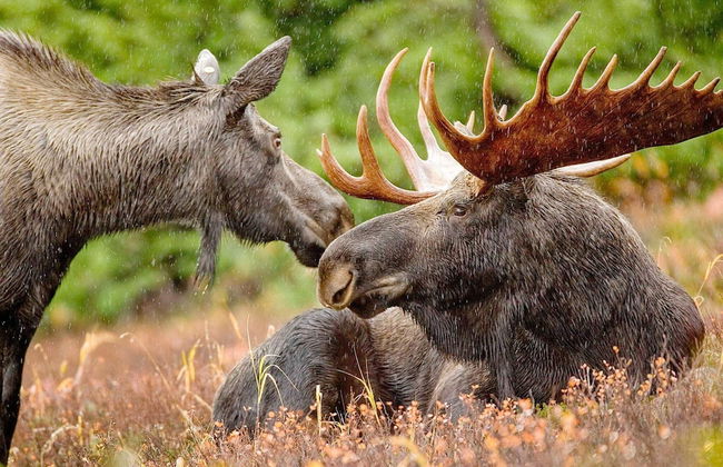 5 Person Holiday Home in Salen - Foto 5