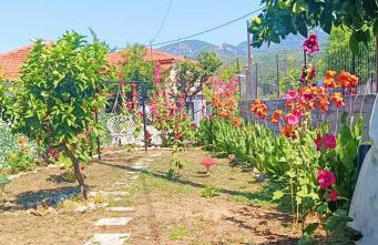 Traditional house at Pelion seaside - Foto 45