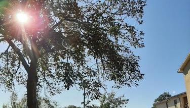 Villa A Casa di Giovanni - Foto 4, Garden view