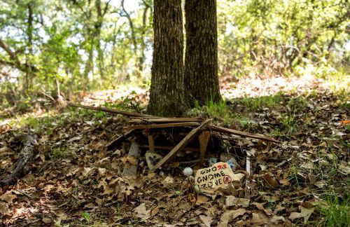 Magical Treehouse with Slide by Brazos River for Family Glamping Adventures in Texas - Foto 35