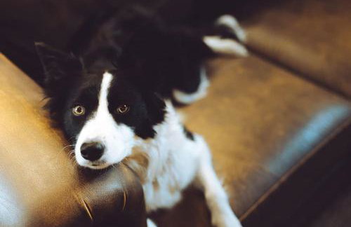 The Old Timber Store - Foto 11