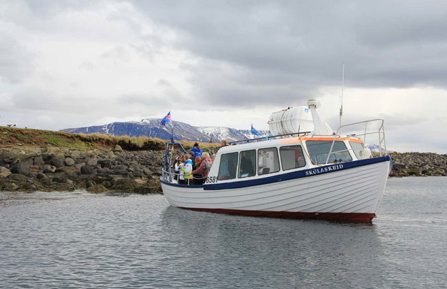Avvistamento di pulcinelle di mare a Reykjavík - Foto 4